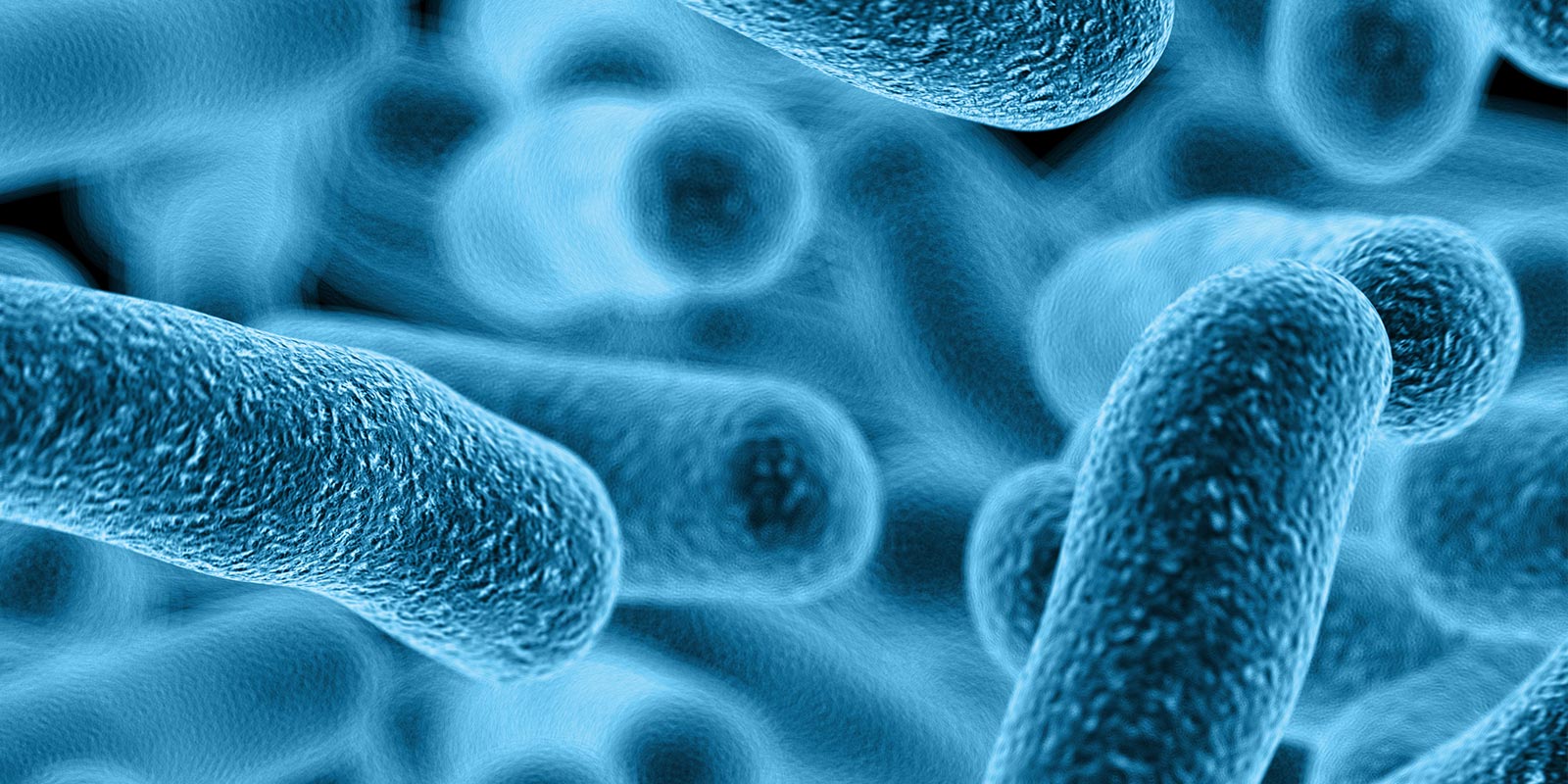 pathogens-sozones-1600×800
